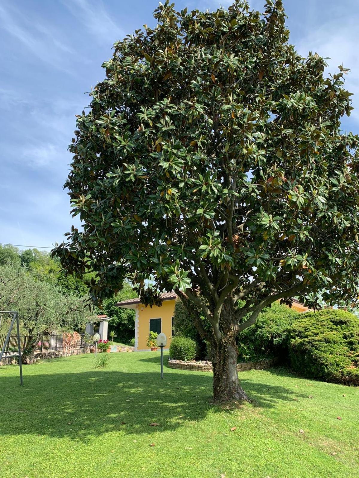 Poli Villa'S Apartment Bardolino Extérieur photo